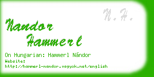 nandor hammerl business card
